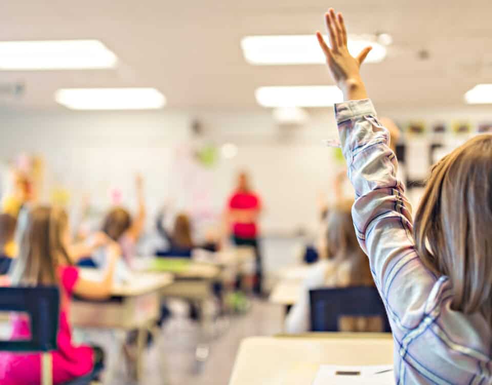 Pupils in a classroom