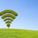 green tree wifi symbol