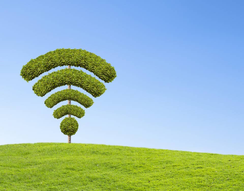 green tree wifi symbol